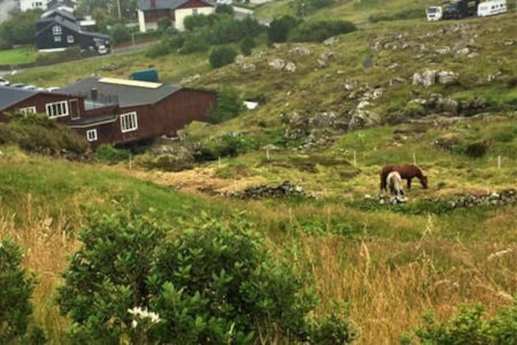 Hyggelig Lejlighed Ved Aen - Flot Udsigt Tórshavn Exterior foto